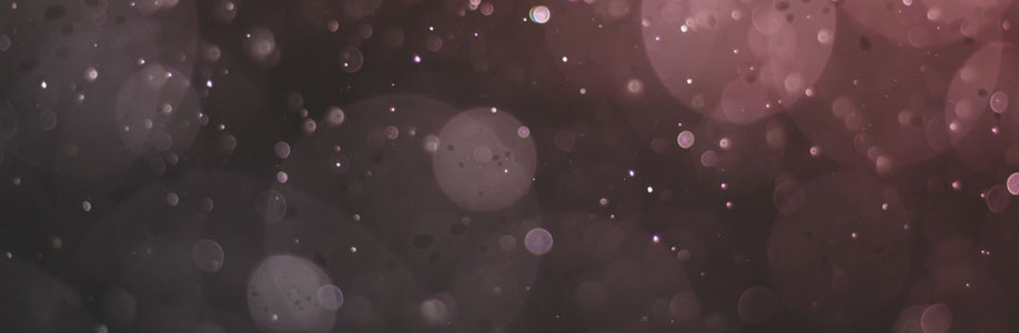 WeRight Content Cover Image
